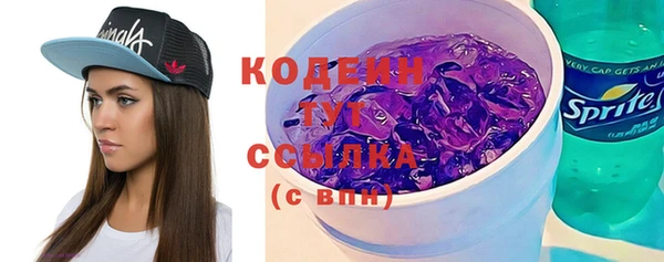 индика Карталы