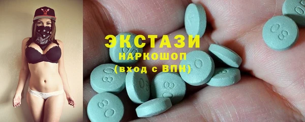 индика Каменка