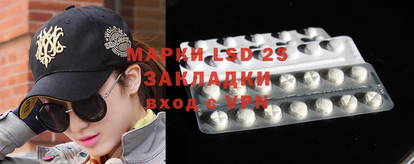 индика Каменка