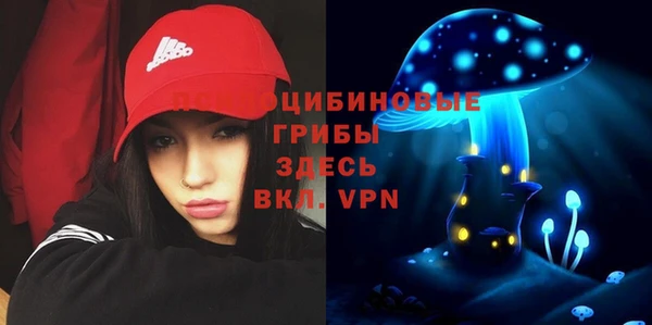 гашик Каменногорск