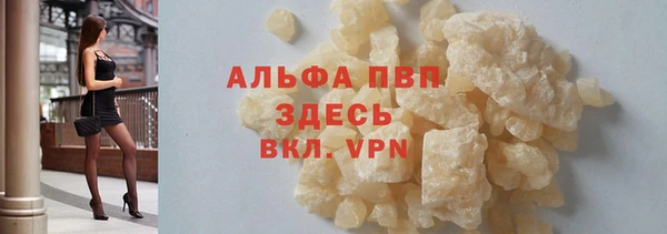 стафф Карпинск
