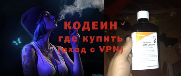 индика Каменка