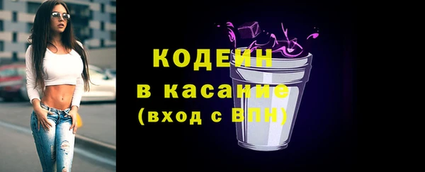 индика Карталы