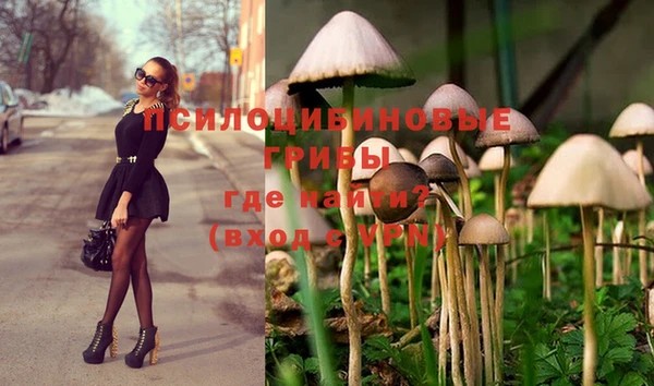 гашик Каменногорск