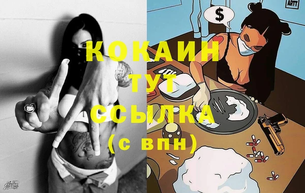индика Каменка