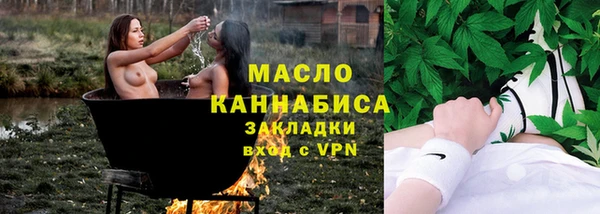 индика Каменка