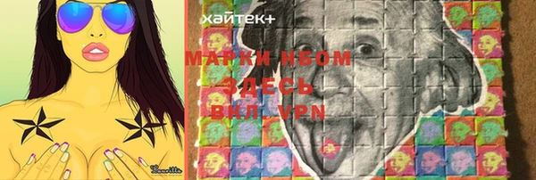 гашик Каменногорск