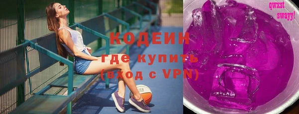 индика Карталы