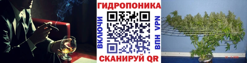 Бошки марихуана Bruce Banner кракен ссылки Семёнов где купить наркоту